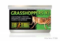 Exo Terra Canned Grasshoppers Exra Large