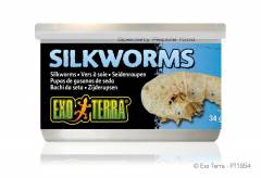 Exo Terra Canned Silkworms 1.2oz