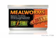 Exo Terra Canned Mealworms 1.2oz