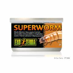 Exo Terra Canned Superworms 1.1 oz