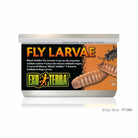 Exo Terra Canned Black Soldier Fly Larvae 1.2oz