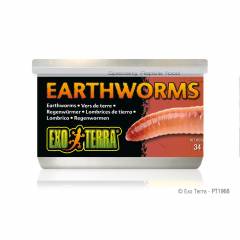 Exo Terra Canned Earthworms 1.2oz