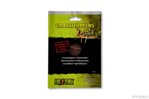 Exo Terra Vacuum Packed Grasshoppers Regular