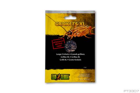 Exo Terra Vacuum Packed Crickets XL