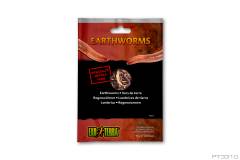 Exo Terra Vacuum Packed Earthworms