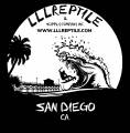 LLLReptile San Diego Black T-Shirt