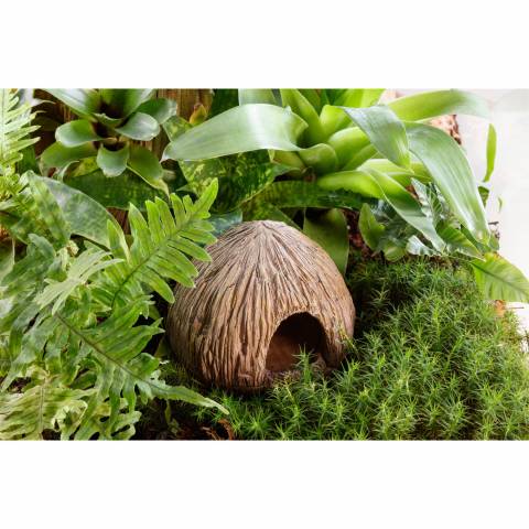 Exo Terra Coconut Nesting & Egg Laying Hide