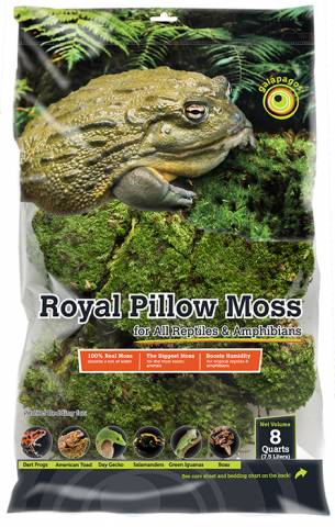 Galapagos Royal Pillow Moss 8 quart