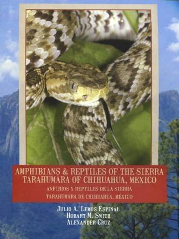 Amphibians & Reptiles of the Sierra Tarahumara