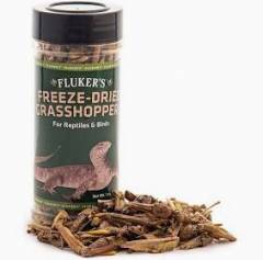 Flukers Freeze Dried Grasshoppers