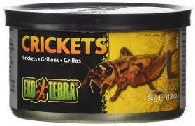 Exo Terra Canned Small Crickets 1.2oz