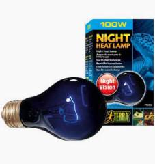 Exo Terra 100 Watt Night Heat Lamp