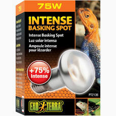 Exo Terra 75 watt Intense Basking Spot 