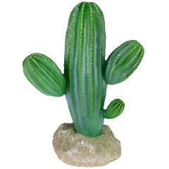 Komodo Saguaro Cactus