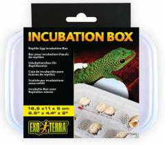 Exo Terra Reptile Egg Incubation BoxIncubator & Incubation Product Holiday Sale!