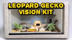 Ultimate Leopard Gecko Vision Terrarium Kit