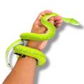 Sub Adult Aru Green Tree Pythons