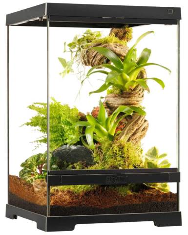 Exo Terra Pro Terrarium X-Small Tall 12x12x18