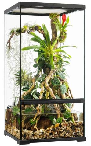 Exo Terra Pro Paludarium Small X-Tall 18x18x36