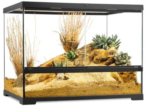 Exo Terra Pro Terrarium Medium Wide 24x18x18