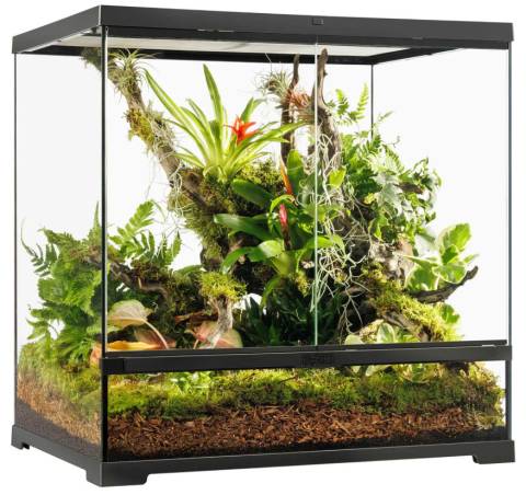 Exo Terra Pro Terrarium Medium Tall 24x18x24