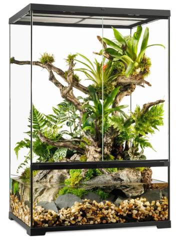 Exo Terra Pro Paludarium Medium X-Tall 24x18x36
