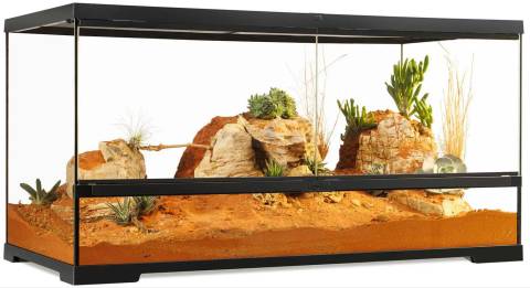 Exo Terra Pro Terrarium Large Wide 36x18x18