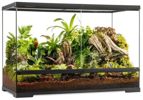 Exo Terra Pro Terrarium Large Tall 36x18x24