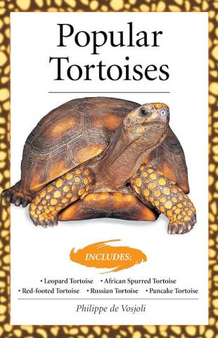 Popular Tortoises