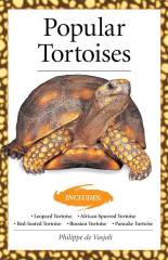 Popular Tortoises