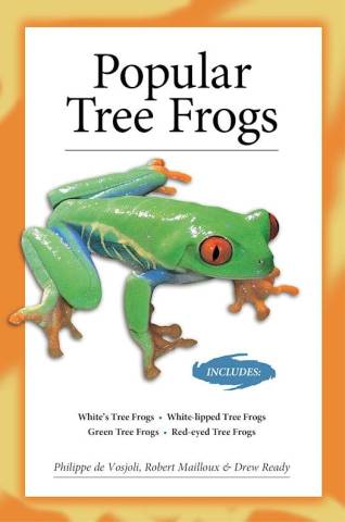 Popular Tree Frogs