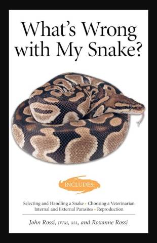 What’s Wrong with my Snake?