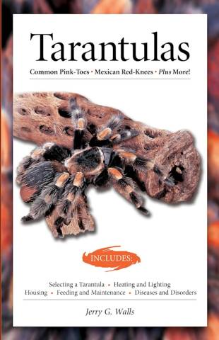 Tarantulas