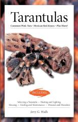 Tarantulas