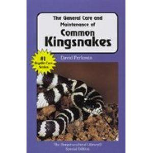 Common Kingsnakes