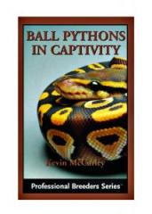 Ball Pythons in Captivity