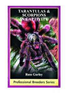 Tarantulas & Scorpions in Captivity
