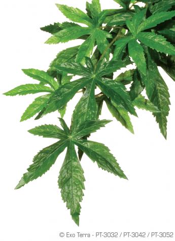 Exo Terra Abutilon Silk Jungle Vines