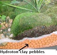 Hydroton clay pebbles