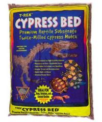 T Rex Cypress Bedding 10 Quart