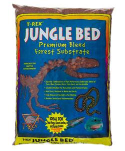 T-Rex Jungle Bedding 10 Quart