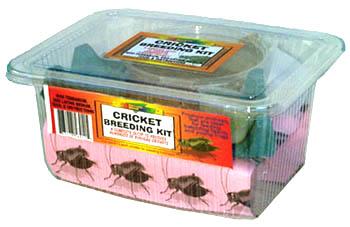Cricket breeding kit