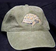 Desert Tortoise Hat