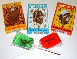 Edible Insects Variety Pack (5)