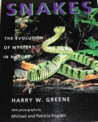Snakes-The Evolution of Mystery in Nature