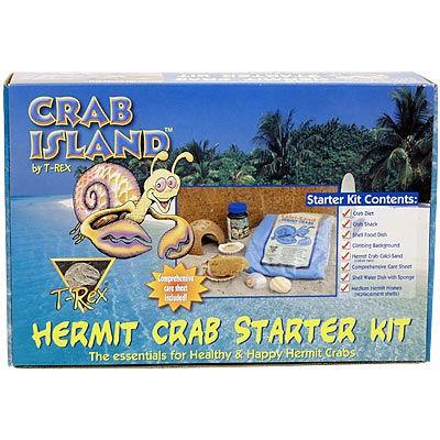 T-Rex Hermit Crab Starter Kit