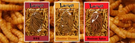 Larvets- Original Worm Snax