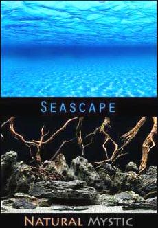 Seascape / Natural Mystic Background 24"