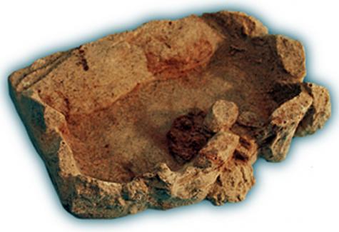 reptile corner water dish