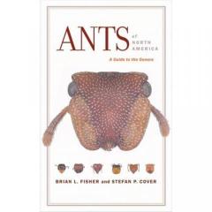 Ants of North America- a Guide to the Genera